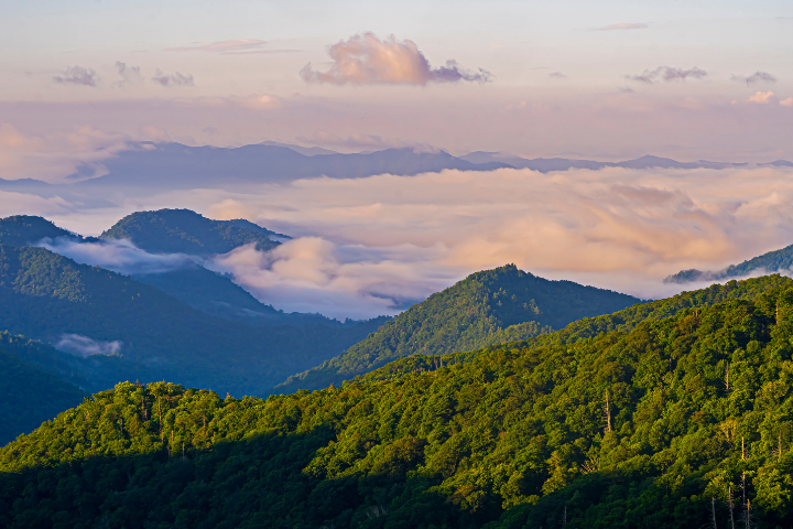 Spring in the Smoky Mountains | Company Blog from Mountain Laurel Chalets