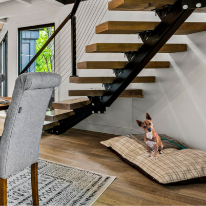 Thing To Do Dog-Friendly Cabins 