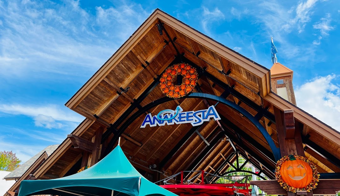 Thing To Do Gatlinburg Entertainment