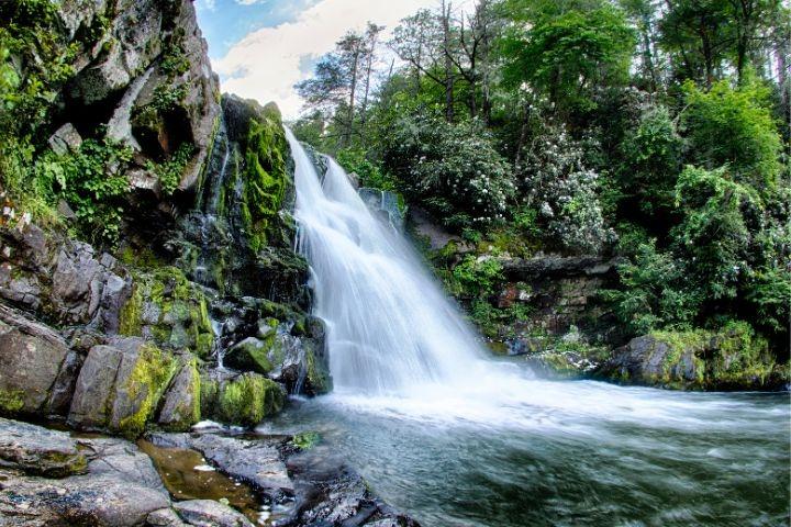 Abrams Falls, a gorgeous waterfall in Great Smoky Mountains National Park, boasts an impressive volume of water.